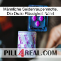 Männliche Seidenraupenmotte, Die Orale Flüssigkeit Nährt 37